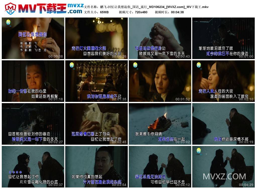 鹏飞-回忆让我想起你_国语_流行_MD106234